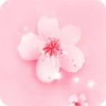 粉色视频免费下载观看软件大全