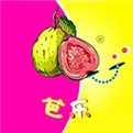 台湾swag