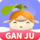 九狐直播播放器