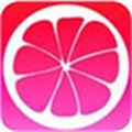 青青草app看片在线下载