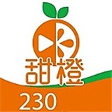 9.1抖音网站免费版
