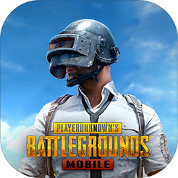 pubg国际服绿体文件免费防封版